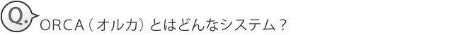 ORCAとはどんなシステム？